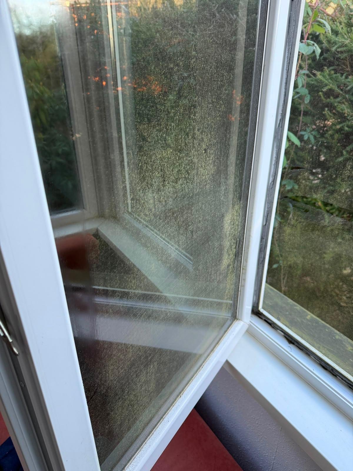 Fenster vorher